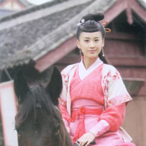 044 乱世情仇乱世哀：金庸《碧血剑》中的爱情书写