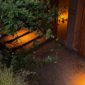 25. 做人生的旁观者 禅修生活大揭秘