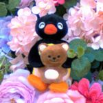 天下仍是你画册