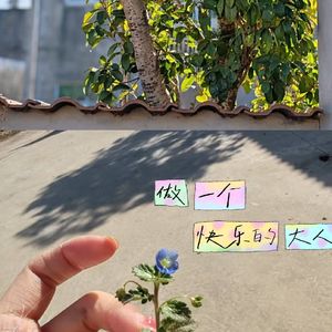 podcaster-avatar