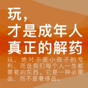 10.玩,才是成年人对抗这个复杂世界的解药