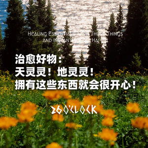 治愈好物：天灵灵！地灵灵！拥有这些东西就会很开心！