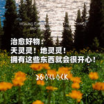 治愈好物：天灵灵！地灵灵！拥有这些东西就会很开心！