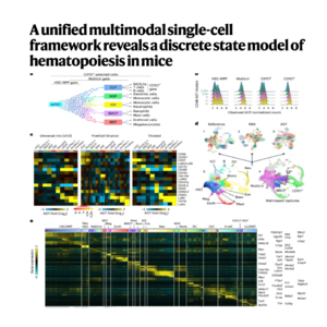 265-小鼠骨髓多模态单细胞图谱