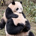 果蔬藕粉