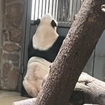抢不到沙发的人