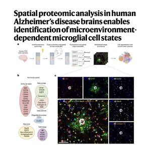 1292-Spatial Proteomics of Microglial States in AD