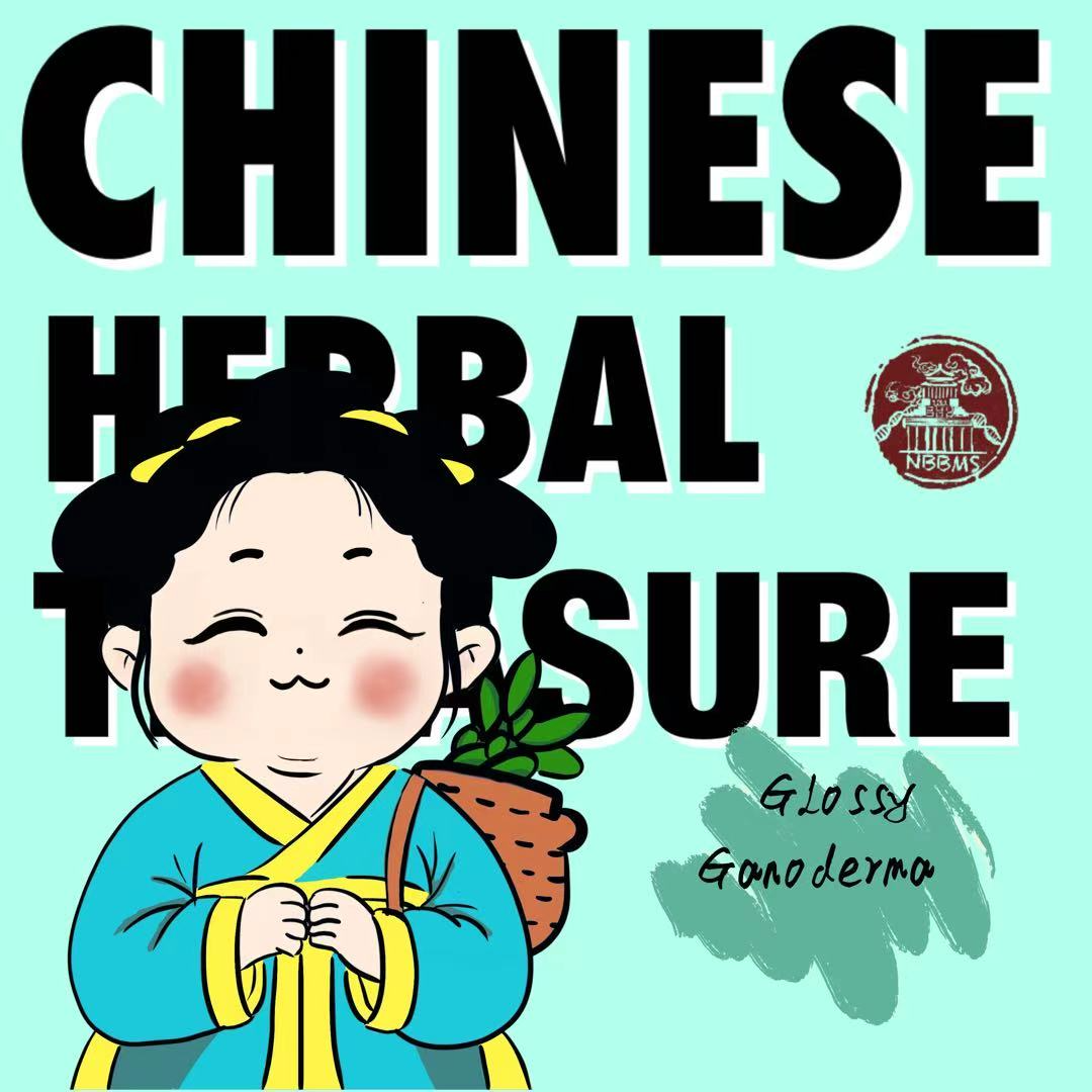Glossy Ganoderma:Magical journey of fairy grass episode artwork
