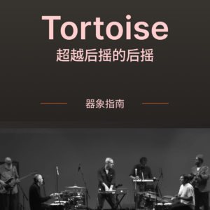 【器象指南】Tortoise｜后摇以外的后摇