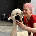 马上变成猪有梦