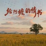 16. 小情大爱，美好人间——聊聊《给阿嫲的情书》