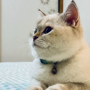 podcaster-avatar