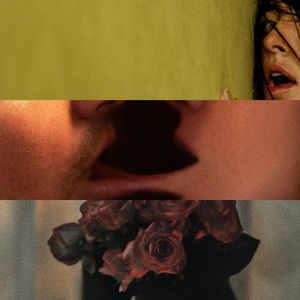 VOL.077丨爱错了人，恐怖片每天都过