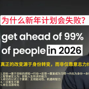 油管大神Dan Koe--为什么新年计划会失败？用一天时间彻底改变你的人生！