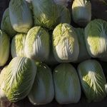 Vol.594| 冷链下运费上涨50%,“甲醛白菜”暴露农产品流通痛点
