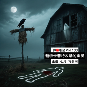 【探案笔记】德国百年悬案—新特卡菲特农场的幽灵 Vol.133