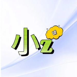 小Z说