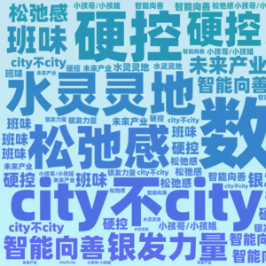 Vol.015 你好二〇二五:2024年火了这些流行语?没听说过!