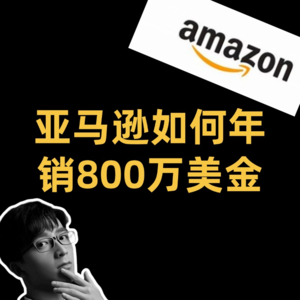 亚马逊如何年销800万美金