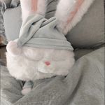 银杏鲍菇