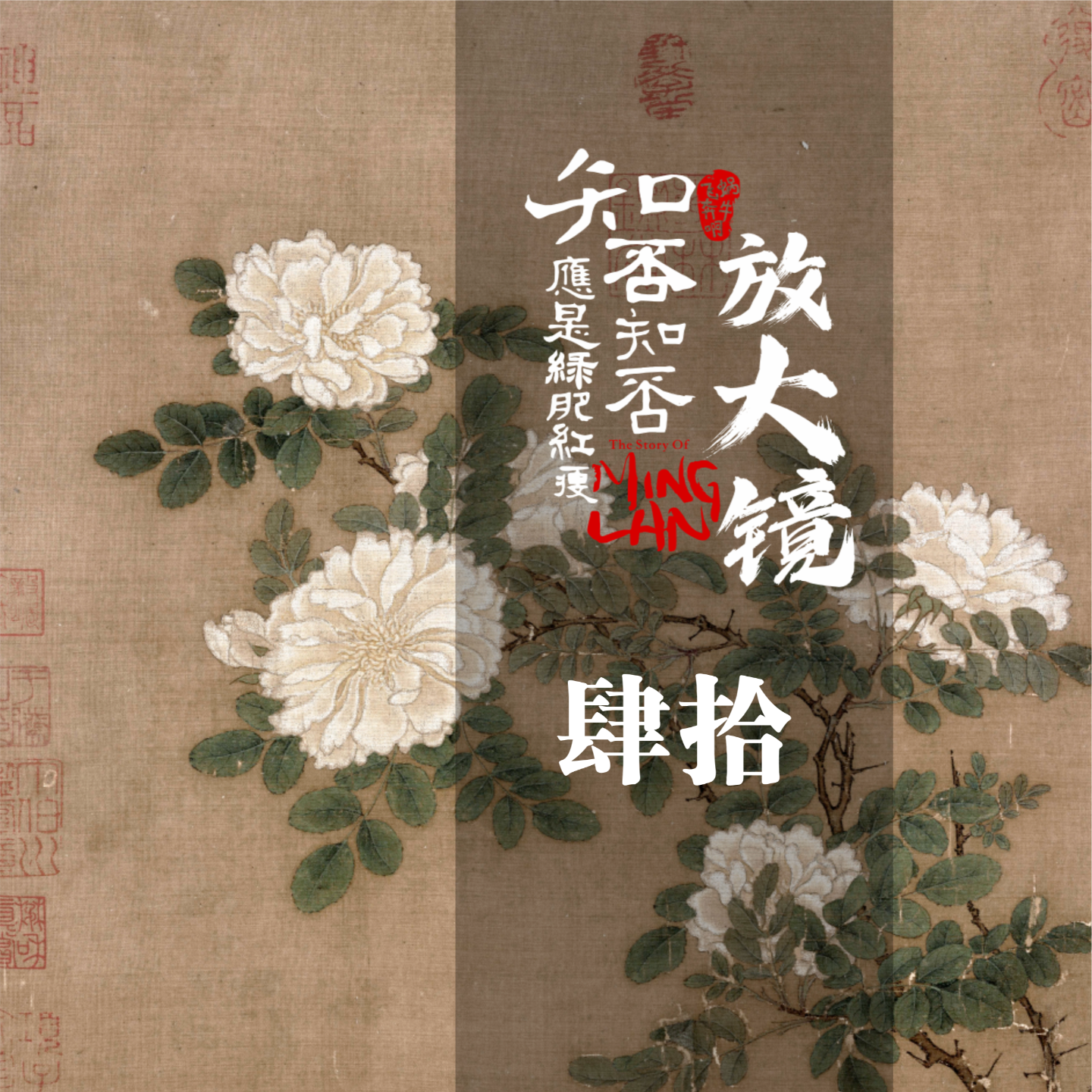 知否放大镜40：幸好，你不是迎春，还好，你有梦醒时分 episode artwork