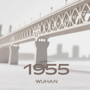 跨越天堑的钢铁史诗——《武汉长江大桥》