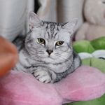 惟惟惟