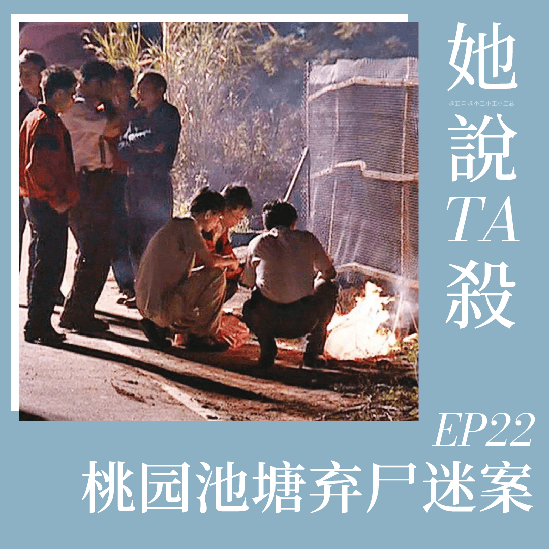 22. 死于假象：桃园池塘弃尸谜案 episode artwork