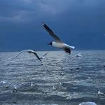 一小段失去功能的神经元