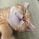 Janette_wH7z