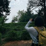 雨季不再来___