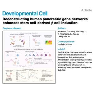 491-基因网络重构助力干细胞诱导β细胞