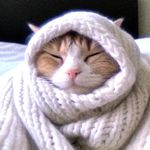 深夜的红烧牛肉面