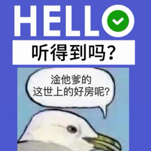 17.租房不易牛马叹气：上海台湾深圳欧洲租房史