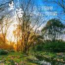 心静_NfTB
