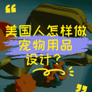 美国人怎样做宠物用品设计？