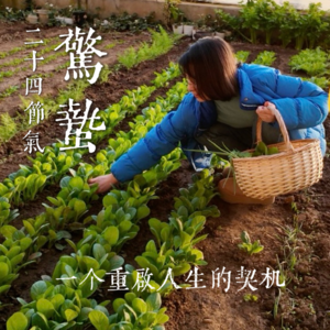 Vol.4 | 按节气生活-惊蛰,是如何重获新生的?