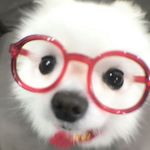 薯条响叮当