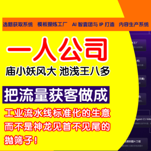 一人公司 AI自媒体 新媒体可以把流量运营获客做成工业流水线 标准化的生意而不是神龙见首不见尾的抛筛子