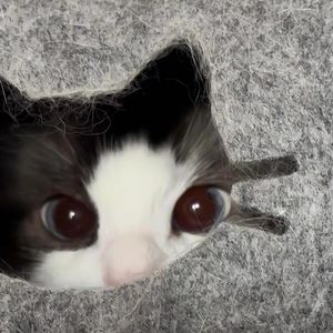 podcaster-avatar