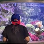 淡淡的真的会顺顺吗