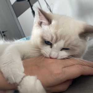 生活奇妙时刻｜崇洋媚外｜地狱笑话｜素食主义｜ADHD