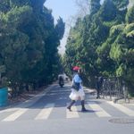 独丁斯时sy