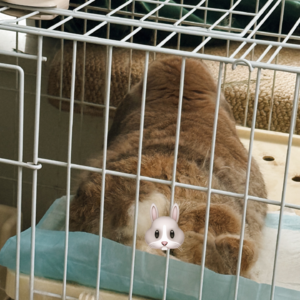 舍不得删东西的心态如何克服 📅 26.Apr.11