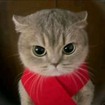 爱简传媒小员工