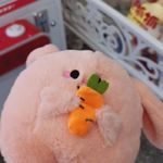 竹叶桃花