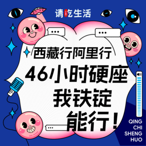 Vol.13 西藏行阿里行，46个小时的硬座我铁锭能行！