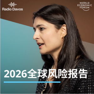 2026年有哪些主要全球风险？