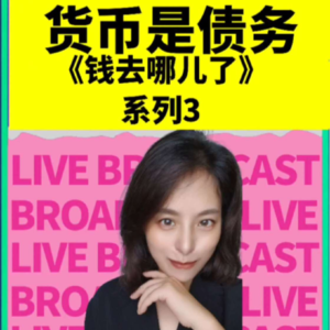 货币是债务《钱去哪儿了》系列