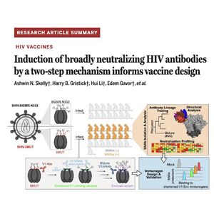 1399-Broadly Neutralizing HIV Antibodies